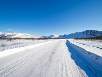 N, Finnmark, Tana, Tanamunningen 6, Saxifraga-Bart Vastenhouw