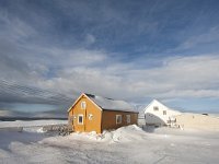 N, Finnmark, Vadso, Ekkeroy 1, Saxifraga-Bart Vastenhouw