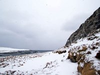 N, Finnmark, Vardo, Hornoya 4, Saxifraga-Bart Vastenhouw