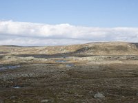 N, Hordaland, Eidfjord, Dyranut 12, Saxifraga-Willem van Kruijsbergen