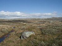 N, Hordaland, Eidfjord, Dyranut 27, Saxifraga-Annemiek Bouwman