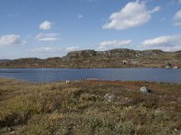 N, Hordaland, Eidfjord, Repsetjornane 2, Saxifraga-Willem van Kruijsbergen