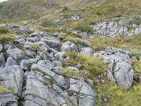 N, More og Romsdal, Fraena, Trollkyrkja 45, Saxifraga-Willem van Kruijsbergen