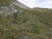 N, More og Romsdal, Fraena, Trollkyrkja 50, Saxifraga-Willem van Kruijsbergen