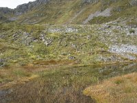 N, More og Romsdal, Fraena, Trollkyrkja 53, Saxifraga-Willem van Kruijsbergen