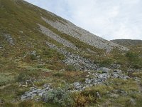 N, More og Romsdal, Fraena, Trollkyrkja 66, Saxifraga-Annemiek Bouwman