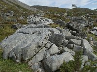 N, More og Romsdal, Fraena, Trollkyrkja 67, Saxifraga-Annemiek Bouwman