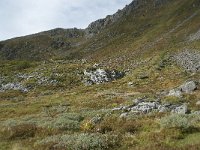 N, More og Romsdal, Fraena, Trollkyrkja 69, Saxifraga-Annemiek Bouwman