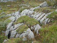 N, More og Romsdal, Fraena, Trollkyrkja 71, Saxifraga-Annemiek Bouwman
