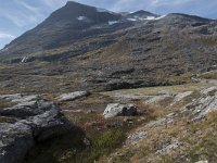 N, More og Romsdal, Rauma, Alnesvatnet 14, Saxifraga-Willem van Kruijsbergen