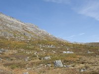 N, More og Romsdal, Rauma, Alnesvatnet 31, Saxifraga-Willem van Kruijsbergen
