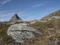 N, More og Romsdal, Rauma, Alnesvatnet 44, Saxifraga-Willem van Kruijsbergen