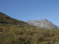 N, More og Romsdal, Rauma, Alnesvatnet 51, Saxifraga-Willem van Kruijsbergen