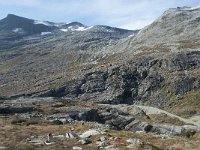 N, More og Romsdal, Rauma, Alnesvatnet 57, Saxifraga-Annemiek Bouwman