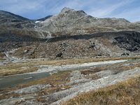 N, More og Romsdal, Rauma, Alnesvatnet 68, Saxifraga-Annemiek Bouwman