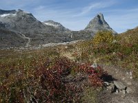 N, More og Romsdal, Rauma, Alnesvatnet 70, Saxifraga-Annemiek Bouwman