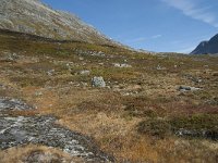 N, More og Romsdal, Rauma, Alnesvatnet 72, Saxifraga-Annemiek Bouwman
