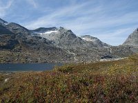 N, More og Romsdal, Rauma, Alnesvatnet 77, Saxifraga-Annemiek Bouwman