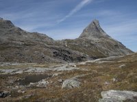 N, More og Romsdal, Rauma, Bispen 10, Saxifraga-Willem van Kruijsbergen