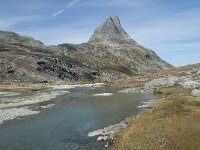 N, More og Romsdal, Rauma, Bispen 12, Saxifraga-Annemiek Bouwman