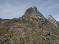 N, More og Romsdal, Rauma, Bispen 4, Saxifraga-Willem van Kruijsbergen