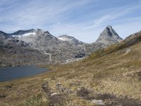 N, More og Romsdal, Rauma, Finnan 4, Saxifraga-Willem van Kruijsbergen