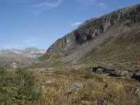 N, More og Romsdal, Rauma, Langfjelldalen 1, Saxifraga-Willem van Kruijsbergen