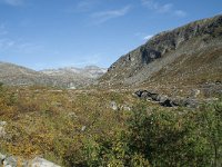 N, More og Romsdal, Rauma, Langfjelldalen 10, Saxifraga-Annemiek Bouwman