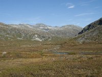 N, More og Romsdal, Rauma, Langfjelldalen 12, Saxifraga-Annemiek Bouwman