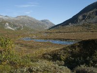 N, More og Romsdal, Rauma, Langfjelldalen 14, Saxifraga-Annemiek Bouwman