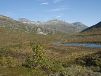 N, More og Romsdal, Rauma, Langfjelldalen 15, Saxifraga-Annemiek Bouwman