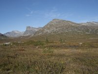 N, More og Romsdal, Rauma, Langfjelldalen 2, Saxifraga-Willem van Kruijsbergen