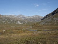 N, More og Romsdal, Rauma, Langfjelldalen 3, Saxifraga-Willem van Kruijsbergen