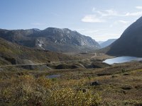 N, More og Romsdal, Rauma, Langfjelldalen 6, Saxifraga-Willem van Kruijsbergen