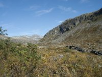 N, More og Romsdal, Rauma, Langfjelldalen 9, Saxifraga-Annemiek Bouwman