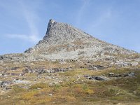 N, More og Romsdal, Rauma, Stigbotthornet 1, Saxifraga-Willem van Kruijsbergen