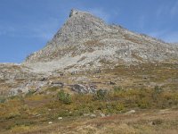 N, More og Romsdal, Rauma, Stigbotthornet 3, Saxifraga-Willem van Kruijsbergen