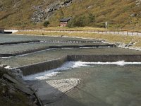 N, More og Romsdal, Rauma, Trollstigen 17, Saxifraga-Willem van Kruijsbergen