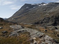 N, More og Romsdal, Rauma, Trollstigen 36, Saxifraga-Willem van Kruijsbergen