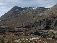 N, More og Romsdal, Rauma, Trollstigen 37, Saxifraga-Willem van Kruijsbergen