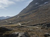 N, More og Romsdal, Rauma, Trollstigen 43, Saxifraga-Willem van Kruijsbergen