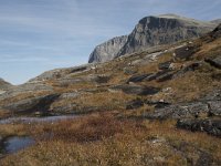 N, More og Romsdal, Rauma, Trollstigen 45, Saxifraga-Willem van Kruijsbergen