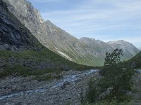 N, More og Romsdal, Rauma, Trollstigen 55, Saxifraga-Annemiek Bouwman