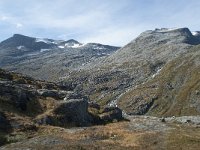 N, More og Romsdal, Rauma, Trollstigen 68, Saxifraga-Annemiek Bouwman