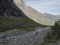 N, More og Romsdal, Rauma, Trollstigen 7, Saxifraga-Willem van Kruijsbergen