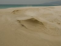 E, Cadiz, Tarifa, Playa de Lances 7, Saxifraga-Jan van der Straaten