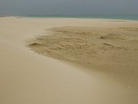 E, Cadiz, Tarifa, Playa de Lances 8, Saxifraga-Jan van der Straaten