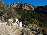 E, Mallorca, Alaro, Castel d Alaro 2, Saxifraga-Hans Dekker