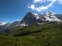 CH, Bern, Grindelwald, Kleine Scheidegg 1, Saxifraga-Bart Vastenhouw