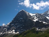 CH, Bern, Grindelwald, Kleine Scheidegg 3, Saxifraga-Bart Vastenhouw